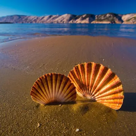 In With Balcony, Air Conditioning, Wifi, Washing Machine Lopar